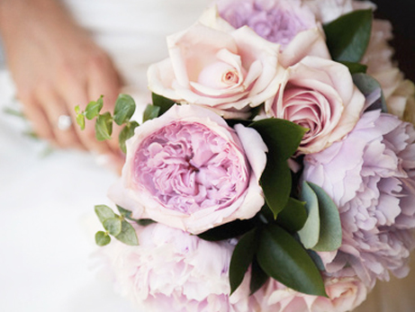 Wedding Packages